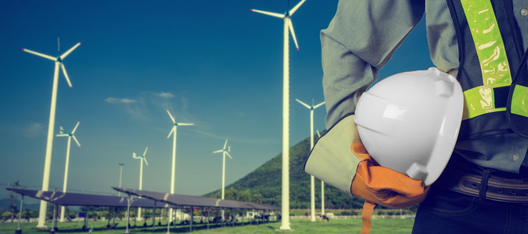 Desarrollo Sostenible