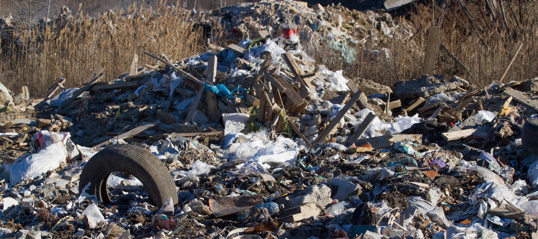 Contaminación del Suelo